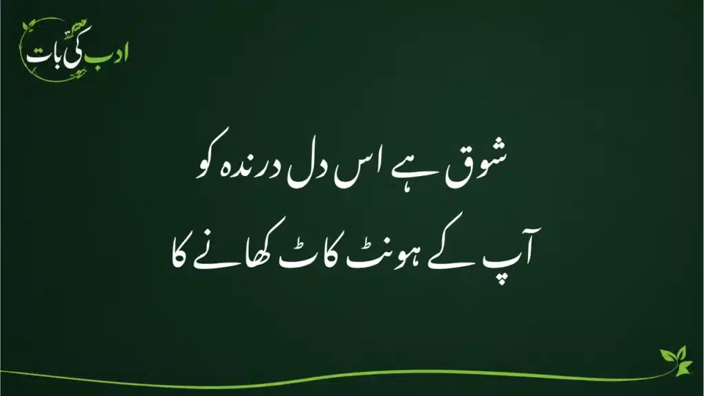 2 Line Love Poetry in Urdu