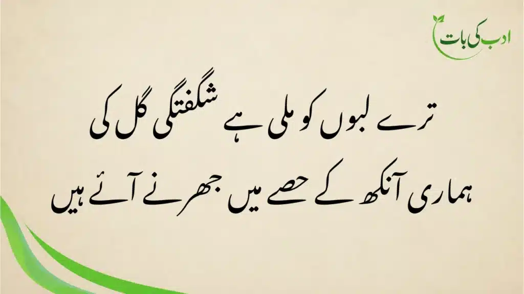 Love Poetry Copy Paste (Shero shayari )