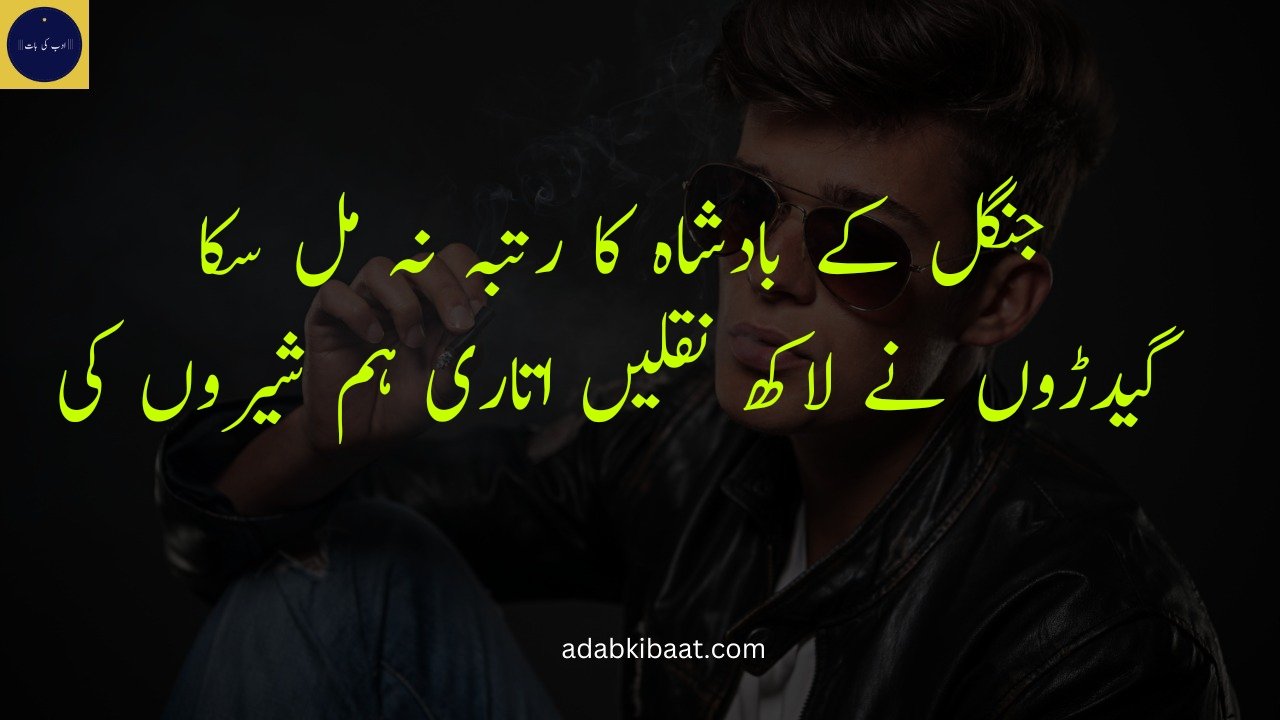 Attitude poetry in Urdu