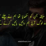 Attitude poetry in Urdu