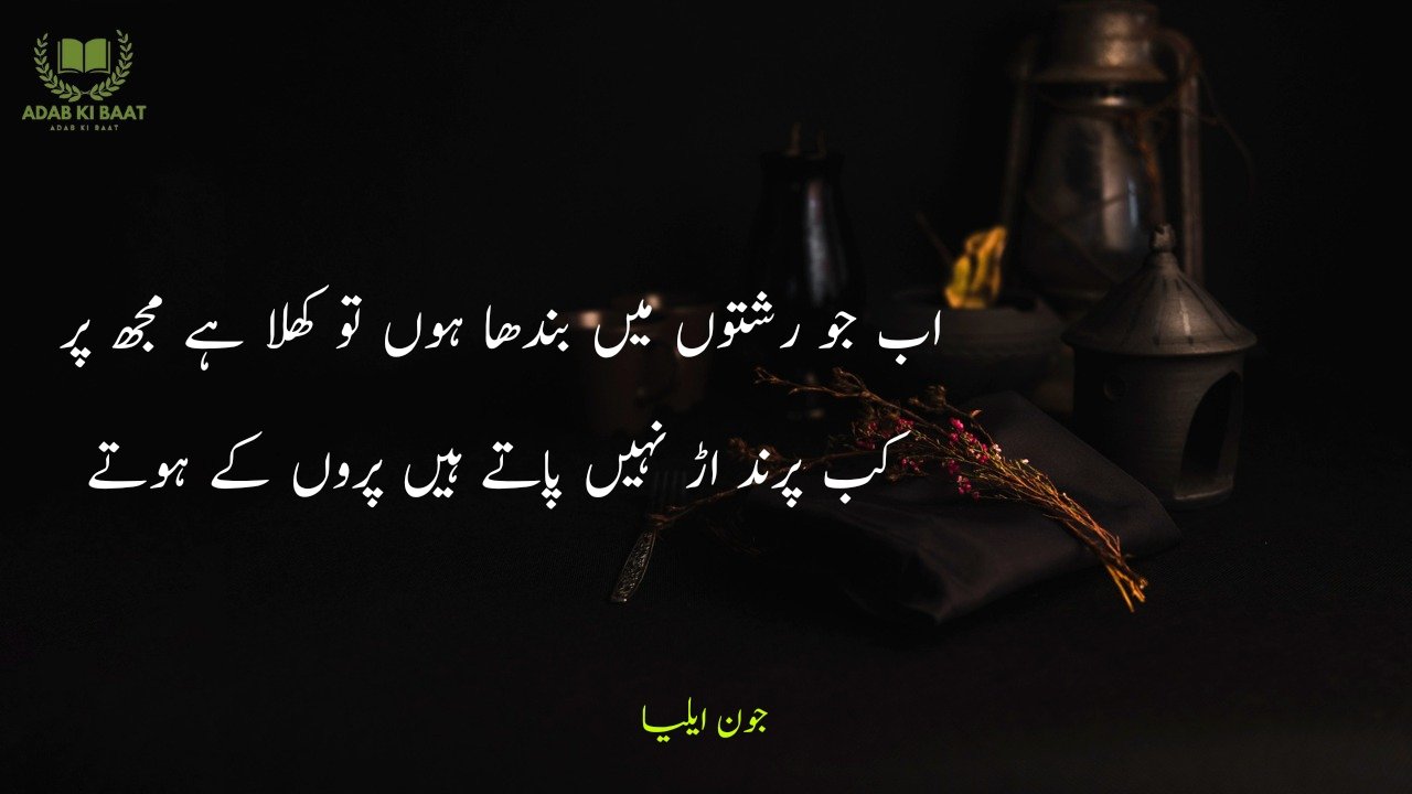 john elia urdu poetry 2 lines