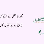 allama iqbal poetry in urdu for students