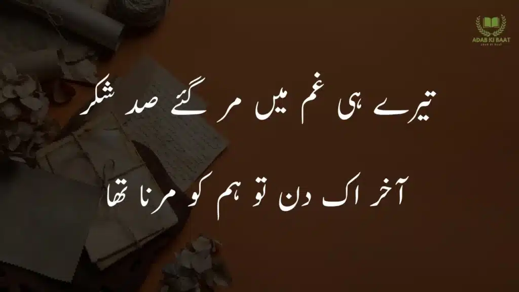 Taire hi ghum main mar gaye sd shukr Best 2 line Urdu poetry copy paste – short shayari collection