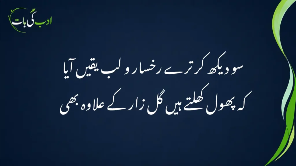 سو دیکھ کر ترے رخسار و لب یقیں آیا کہ پھول کھلتے ہیں گل زار کے علاوہ بھی