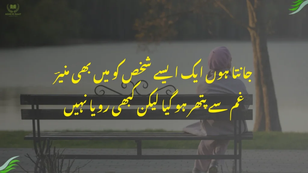 جانتا ہوں ایک ایسے شخص کو میں بھی منیرؔ