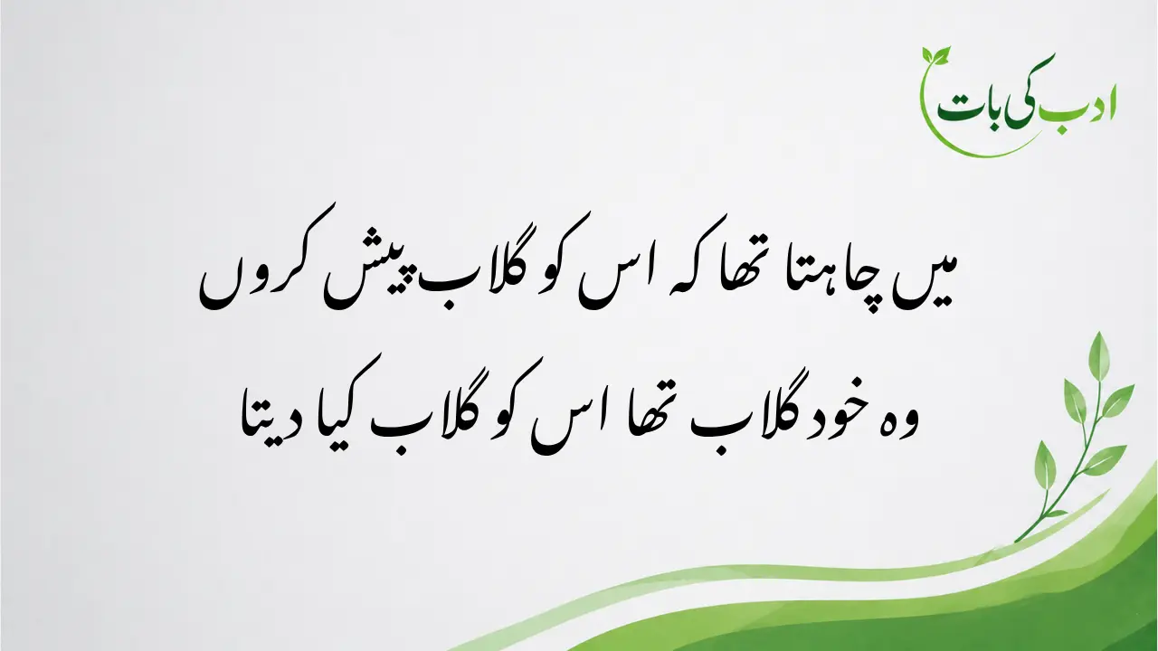 phool poetry in urdu with gulab shayari aesthetic background