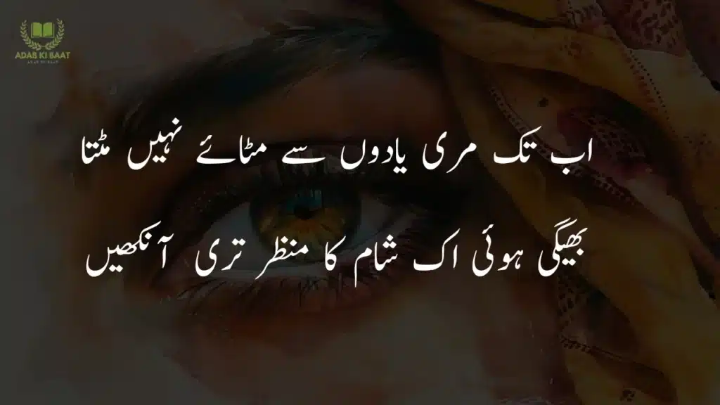 Romantic shayari on eyes in Urdu expressing love, affection, and emotional connection
