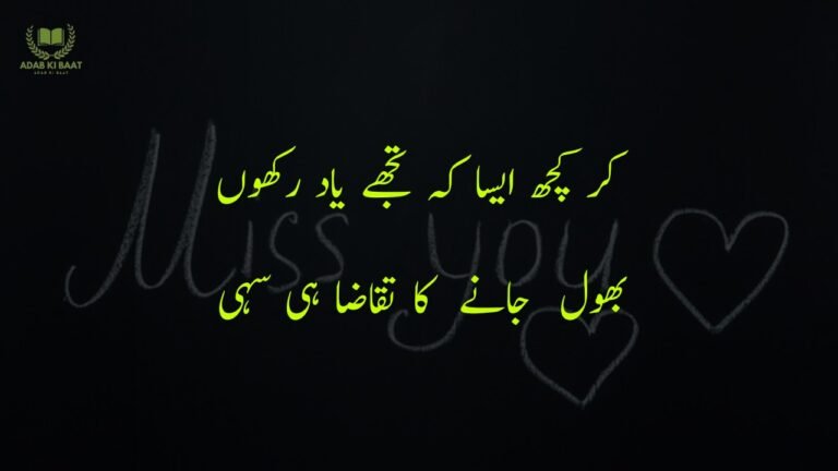 MISS CONCEPT MEANING IN URDU visual data 7