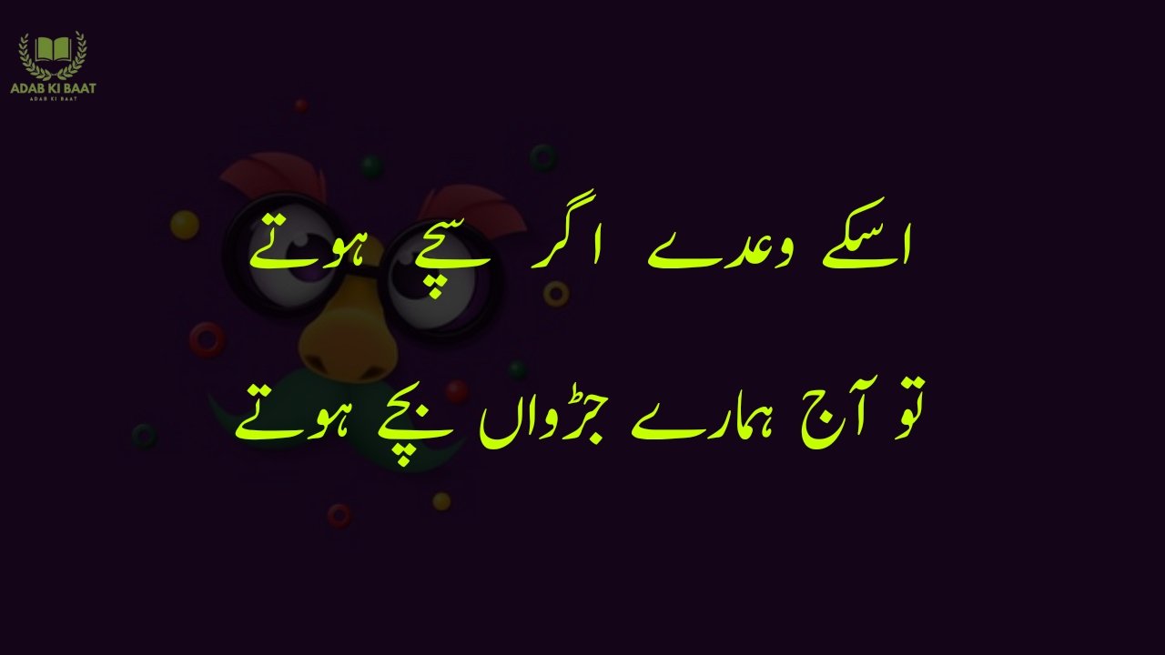 funny poetry in urdu 2 Lines