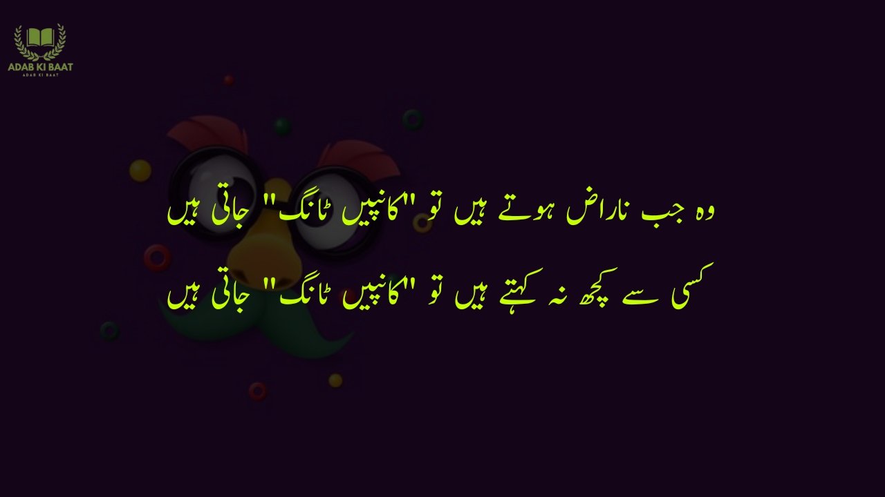 funny poetry in urdu 2 Lines