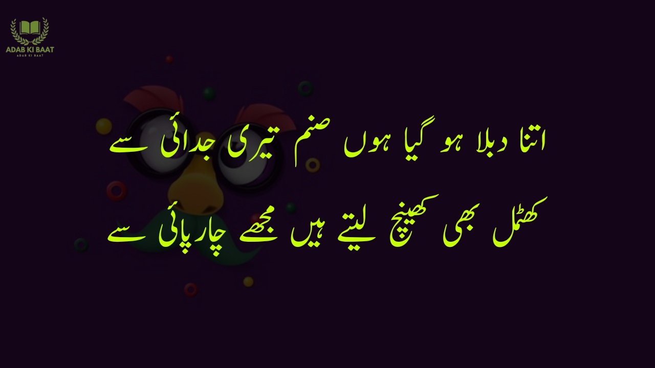 funny poetry in urdu 2 Lines