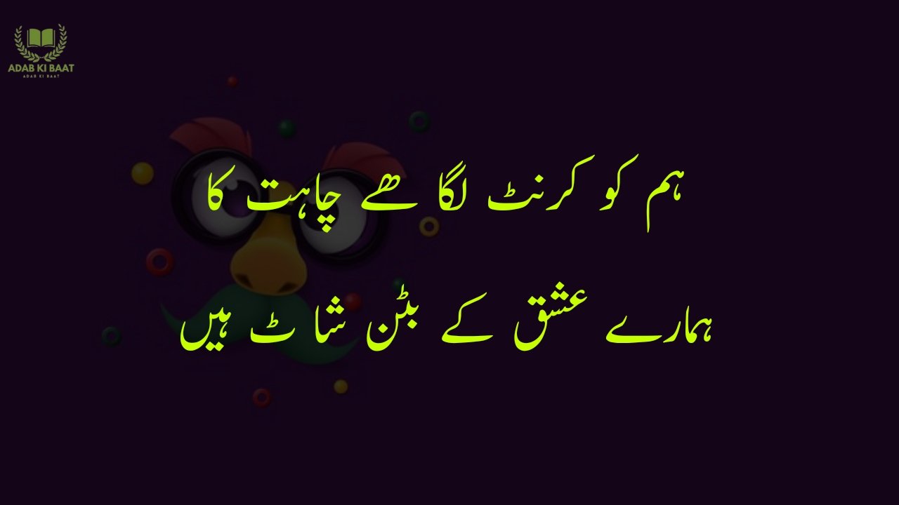 funny poetry in urdu 2 Lines