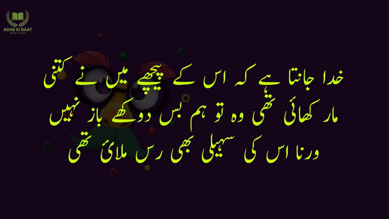 funny poetry in urdu 2 Lines