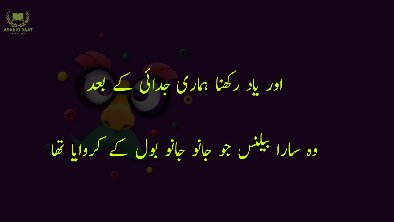 funny poetry in urdu 2 Lines