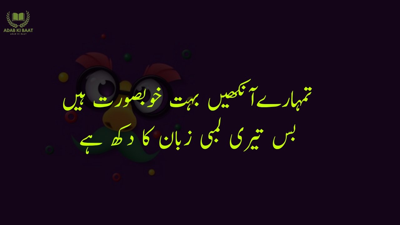 funny poetry in urdu 2 Lines