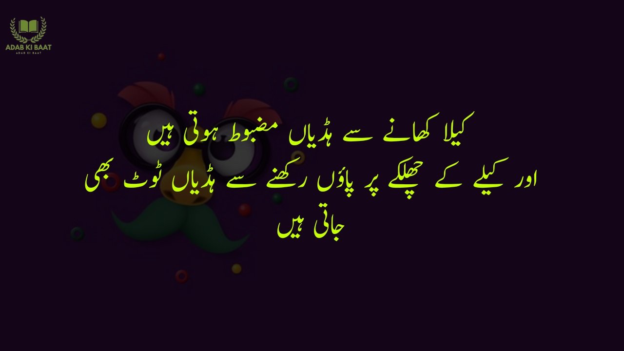 funny poetry in urdu 2 Lines