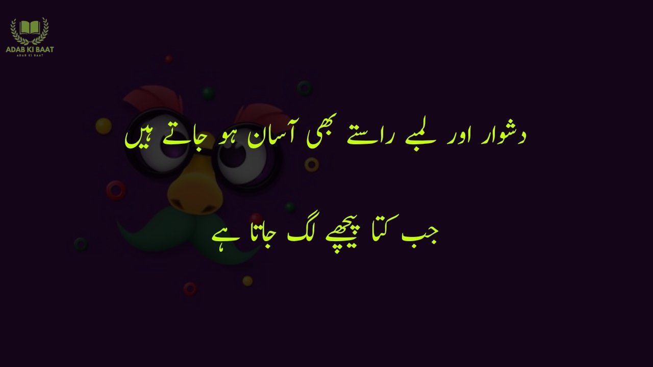 funny poetry in urdu 2 Lines