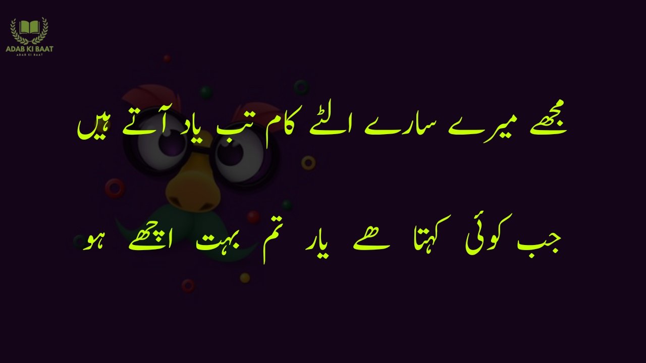 funny poetry in urdu 2 Lines