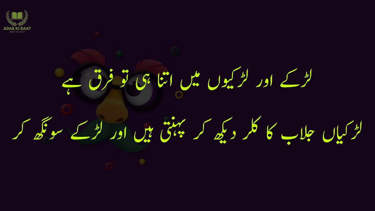 funny poetry in urdu 2 Lines