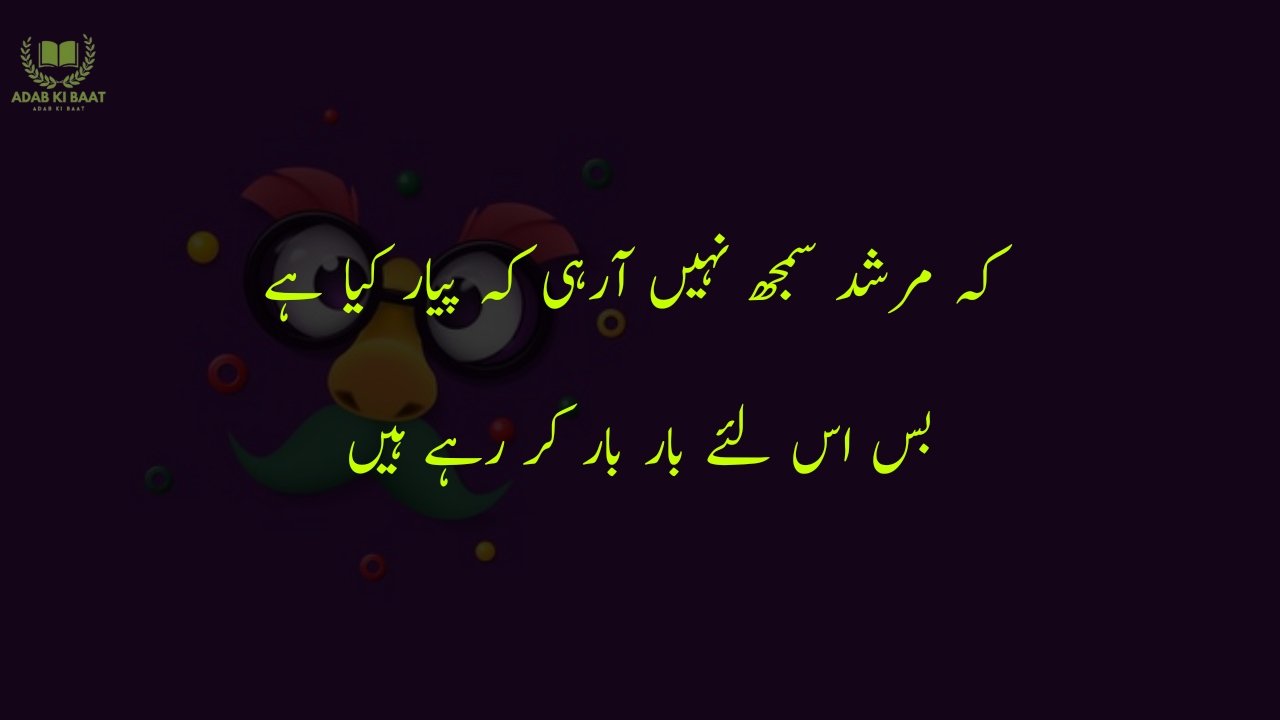 funny poetry in urdu 2 Lines