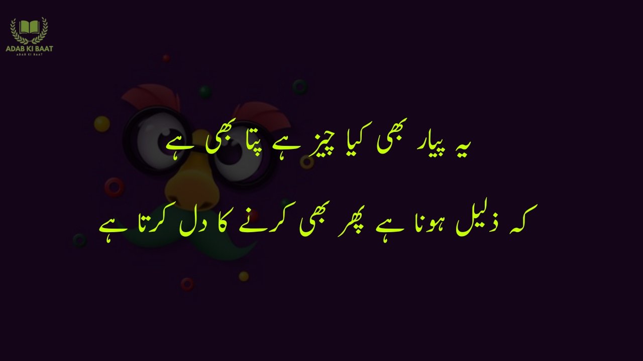 funny poetry in urdu 2 Lines