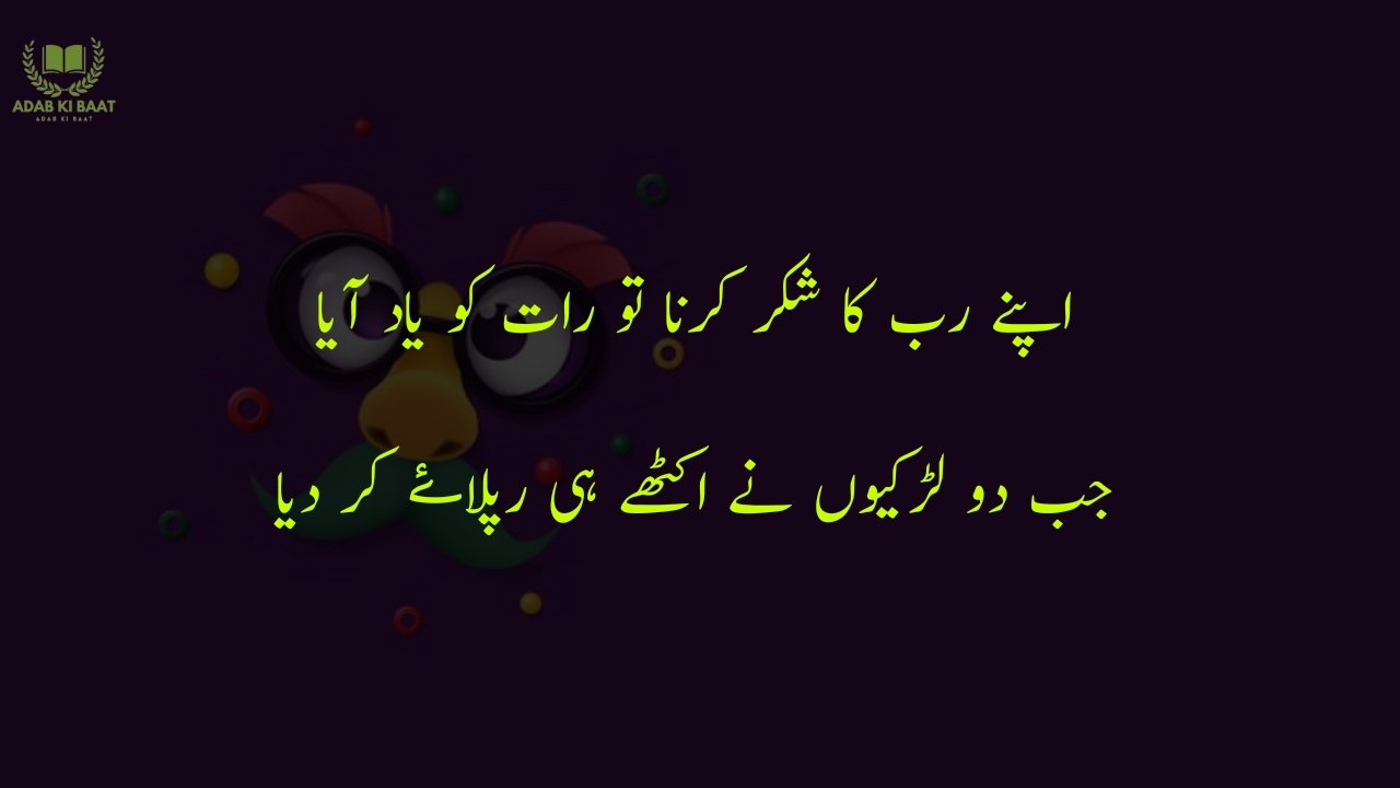 funny poetry in urdu 2 Lines