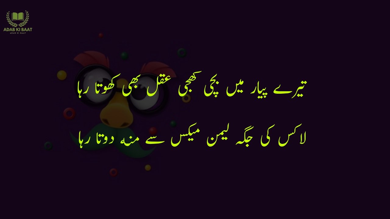 funny poetry in urdu 2 Lines