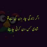 funny poetry in urdu 2 Lines