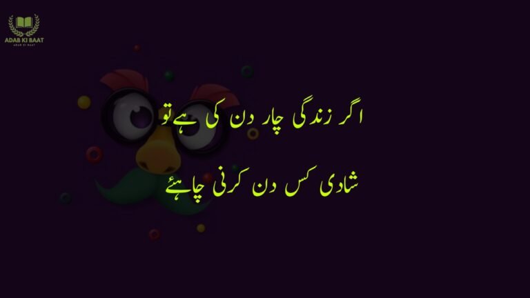 funny poetry in urdu 2 Lines