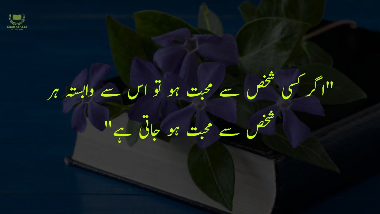 One Line Quotes in Urdu