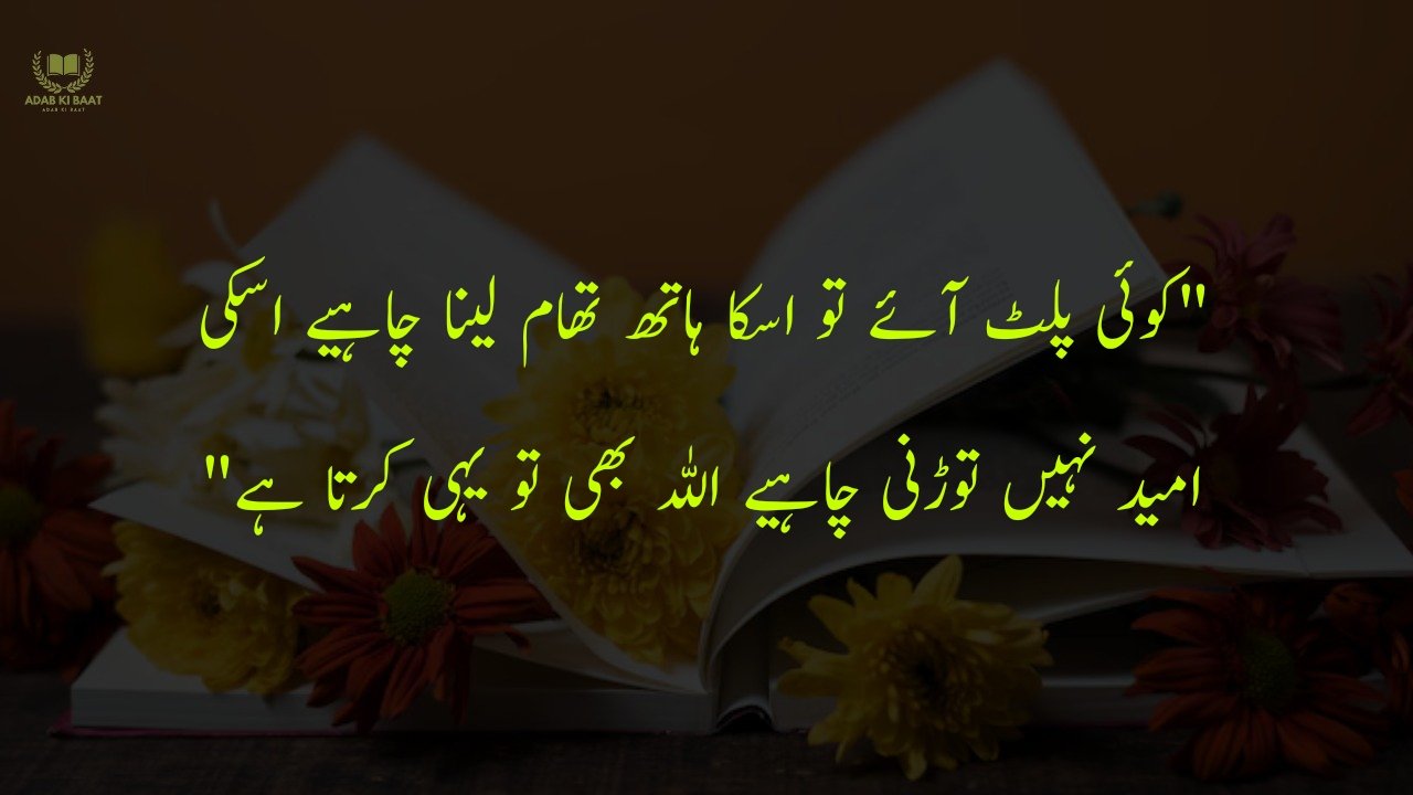 One Line Quotes in Urdu