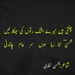 Mohsin Naqvi Poetry in Urdu