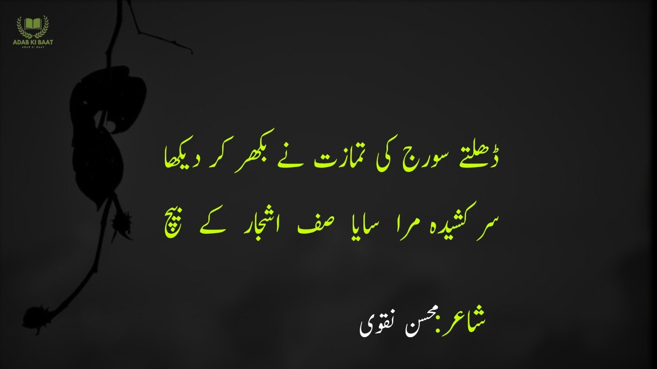 Mohsin Naqvi Poetry in Urdu