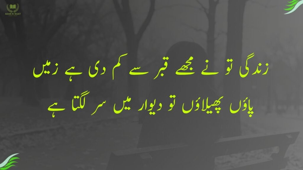 زندگی تو نے مجھے قبر سے کم دی ہے زمیں
