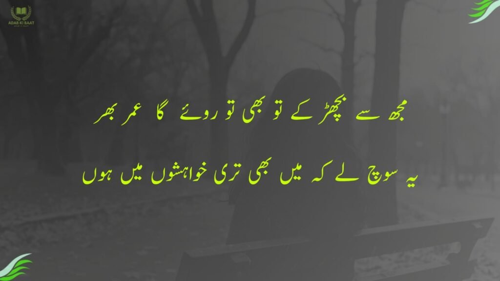 مجھ سے بچھڑ کے تو بھی تو روئے گا عمر بھر