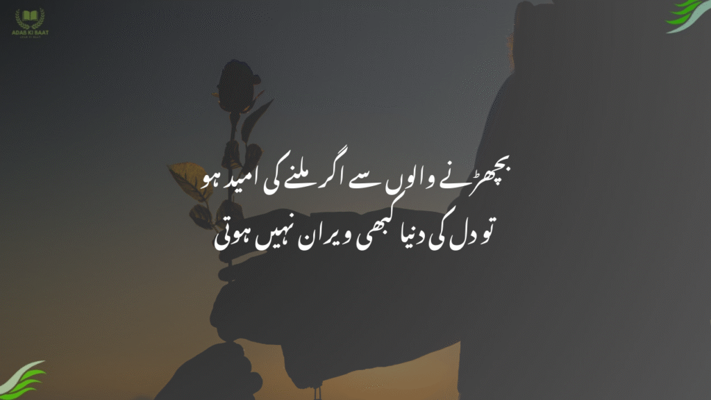 بچھڑنے والوں سے اگر ملنے کی امید ہو
