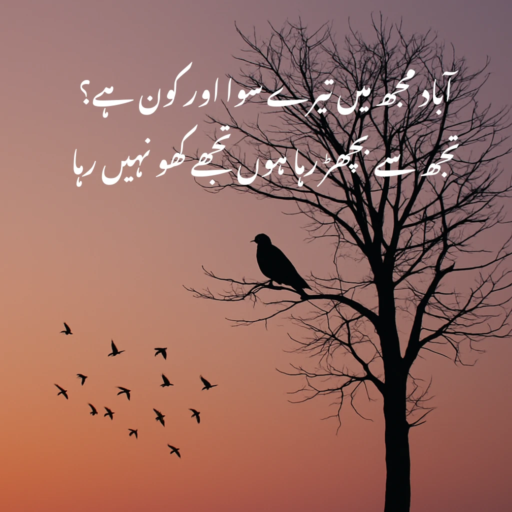 آباد مجھ میں تیرے سوا اور کون ہے؟
