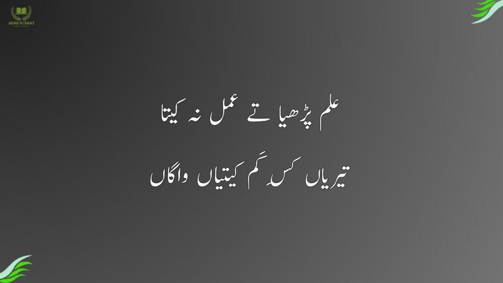 علم پڑھیا تے عمل نہ کیتا