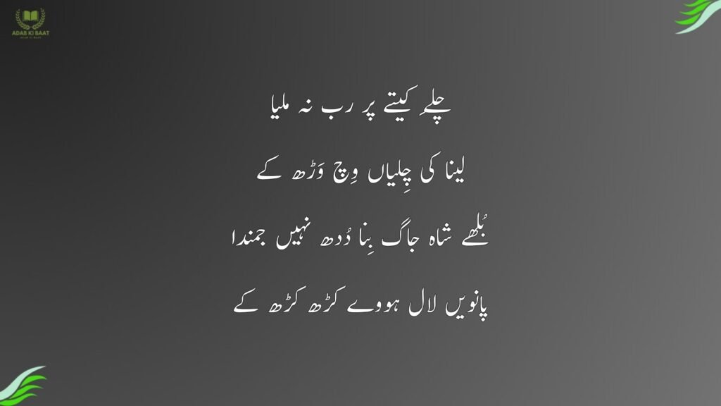 baba Bulleh shah poetry in Urdu 19
