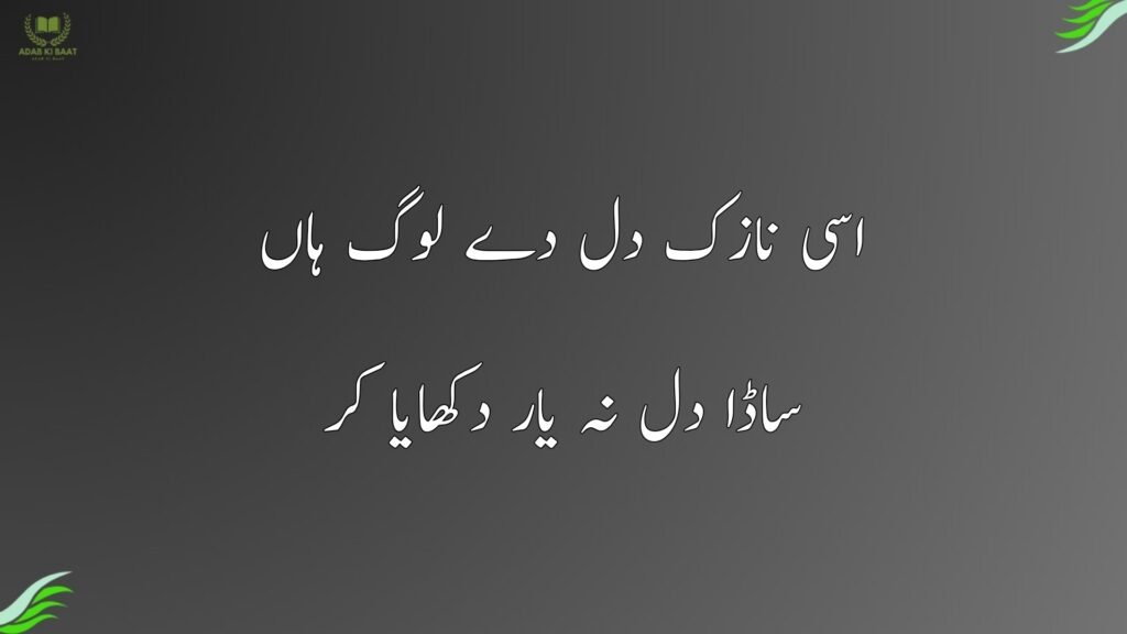 اسی نازک دل دے لوگ ہاں