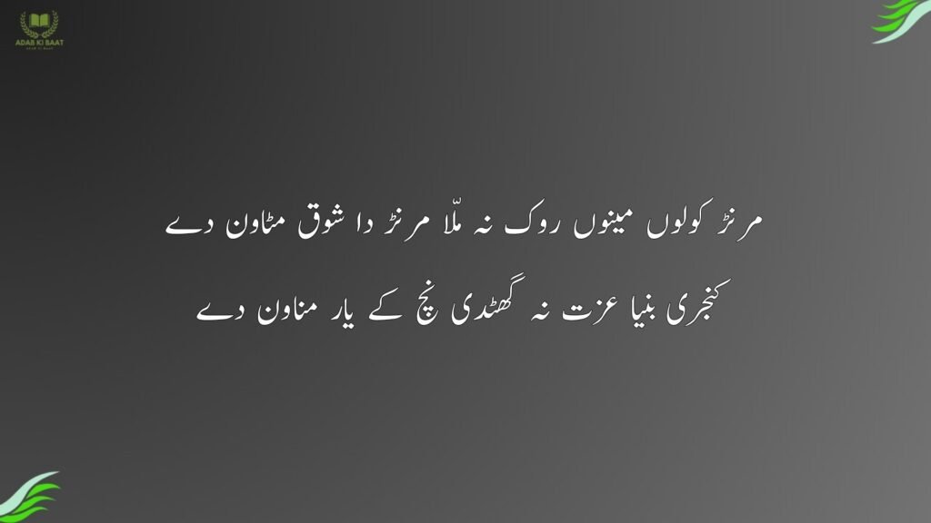 مرنڑ کولوں مینوں روک نہ ملّا مرنڑ دا شوق مٹاون دے
