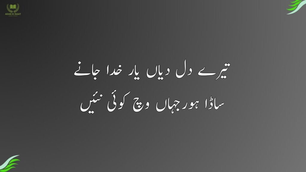 تیرے دل دیاں یار خدا جانے