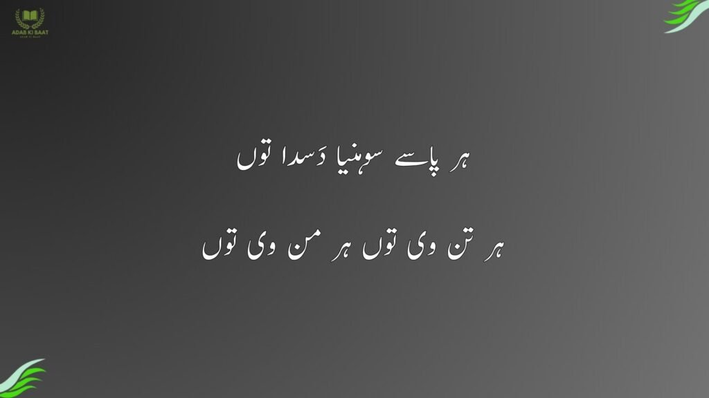 ہر پاسے سوہنیا دَسدا توں