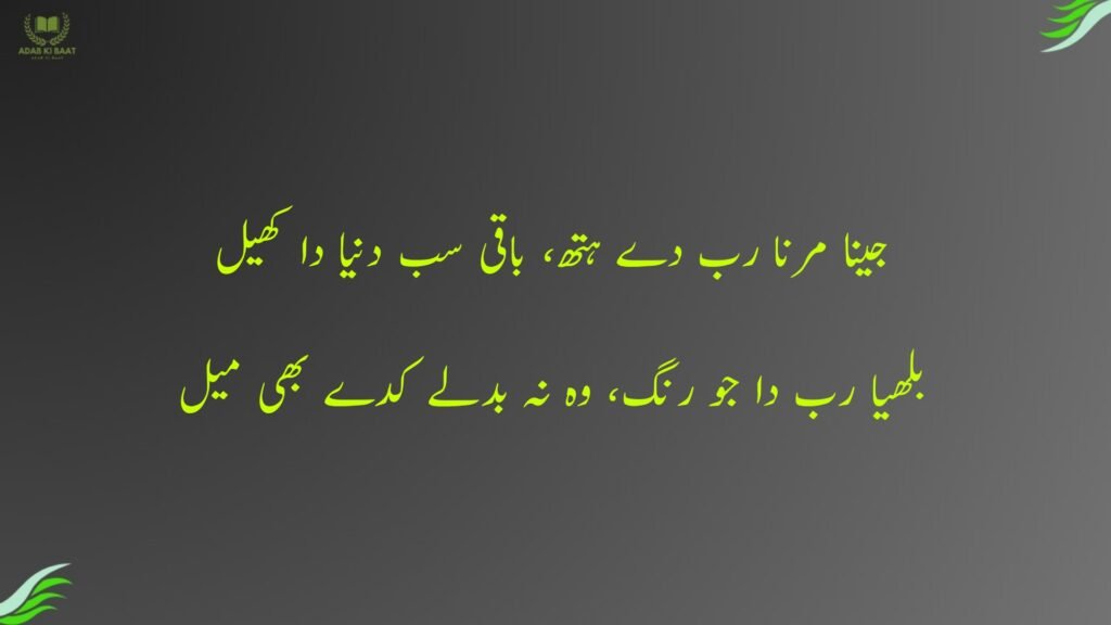 جینا مرنا رب دے ہتھ، باقی سب دنیا دا کھیل