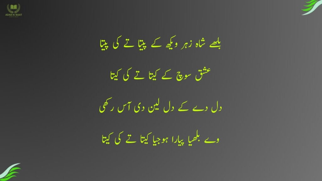 بلھے شاہ زہر ویکھ کے پیتا تے کی پیتا
