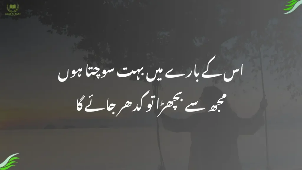 اس کے بارے میں بہت سوچتا ہوں
مجھ سے بچھڑا تو کدھر جائے گا
