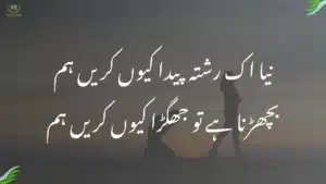 نیا اک رشتہ پیدا کیوں کریں ہم