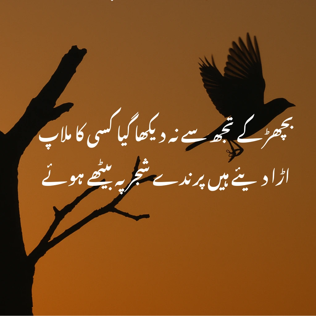 بچھڑ کے تجھ سے نہ دیکھا گیا کسی کا ملاپ
اڑا دیئے ہیں پرندے شجر پہ بیٹھے ہوئے
