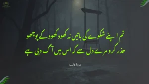 تم اپنے شکوے کی باتیں نہ کھود کھود کے پوچھو