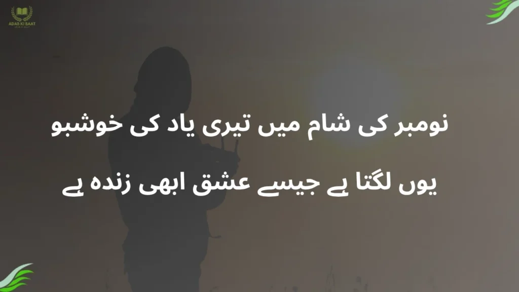November poetry in Urdu